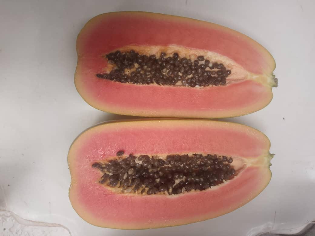 Papaye